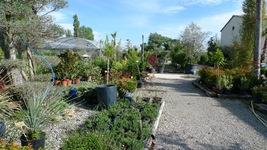 jardinerie_aix_en_provence_8