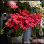 bouquet_fleurs_puyricard