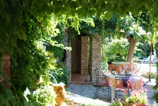 jardin_pdj_B_B_chambre_d_hotes_la_medievale_en_provence_dans_le_vauclu